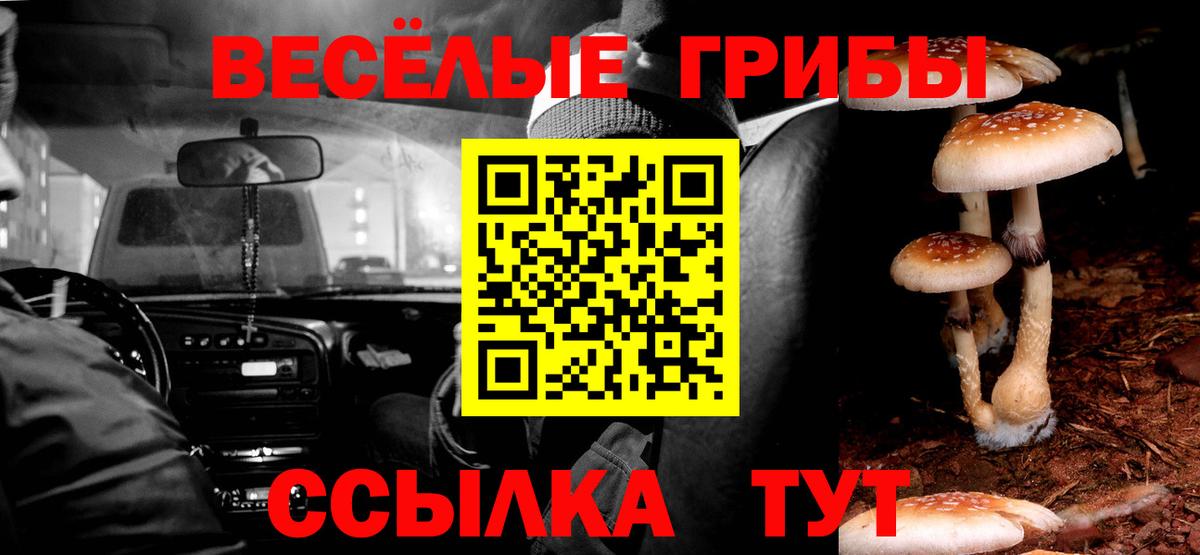 Псилоцибиновые грибы прущие грибы Алейск